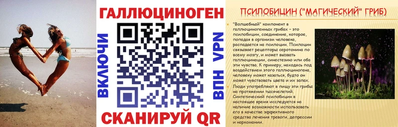 Псилоцибиновые грибы Psilocybine cubensis  Красково 